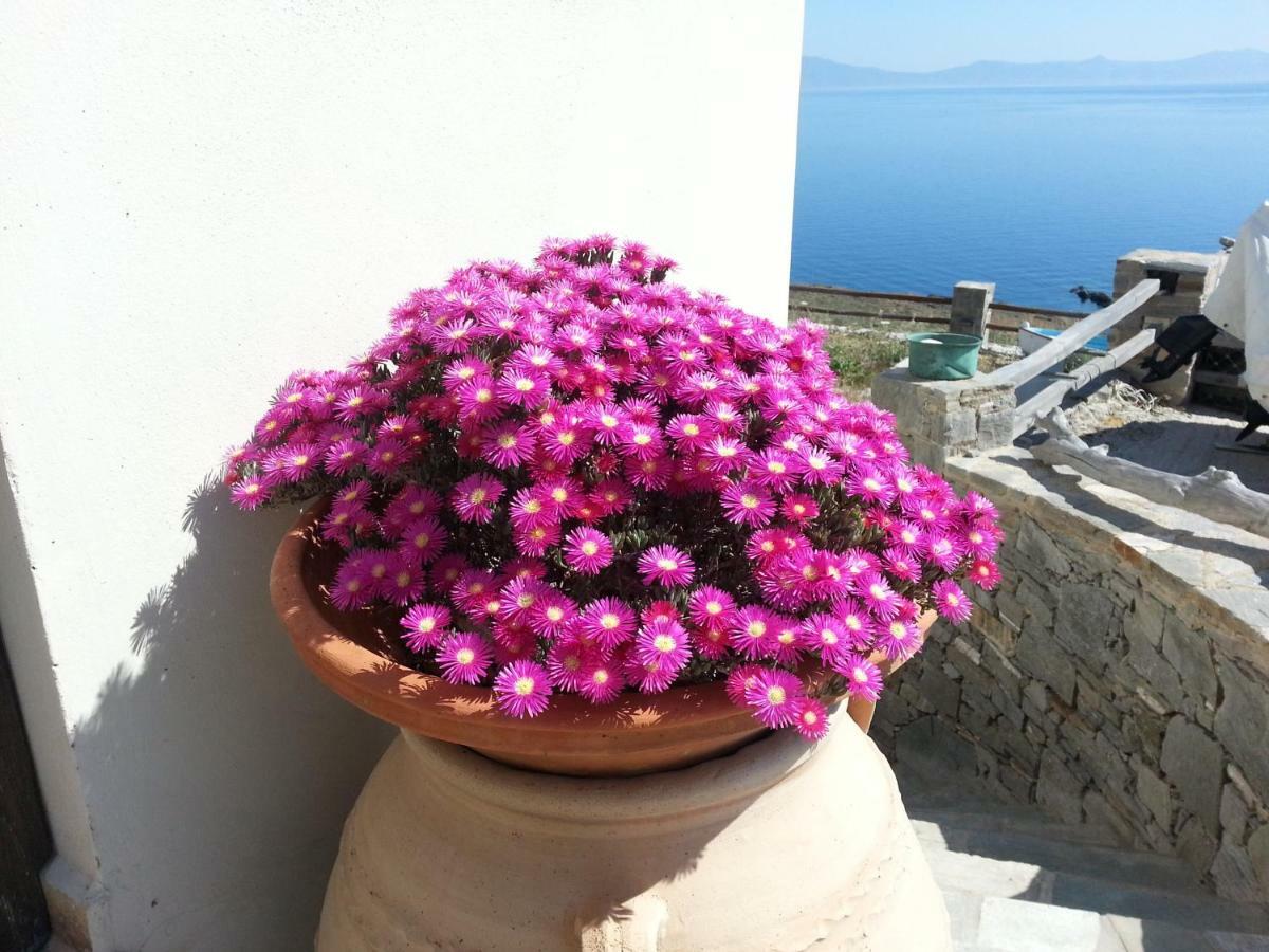 Aegean View - Seaside Apartment In Syros Azolimnos Esterno foto